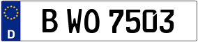 Truck License Plate